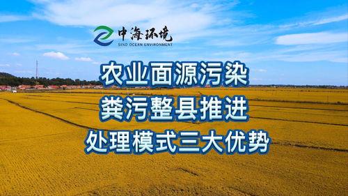 畜禽糞污資源化利用整縣推進模式探索與農業面源污染協同防治