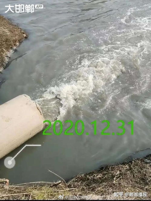 污水直排為哪般？——河北大名縣水污染事件背后的監管之問